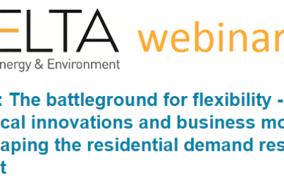Delta-ee webinar: the battleground for flexibility   –  6 July 2016
