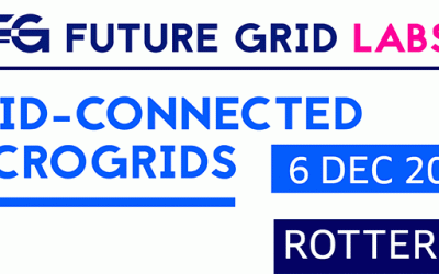 Future Grid Labs