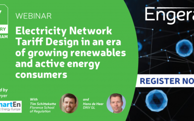 WEBINAR: Electricity Network Tariff Design in an era of growing renewables and active energy consumers