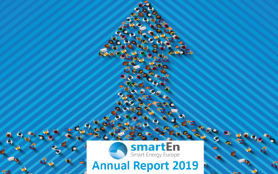 smartEn Annual Report – 2019