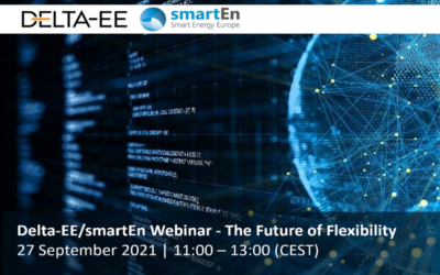 The Future of Flexibility – A webinar from Delta-EE and smartEn