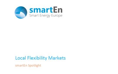 Report l Spotlight on Local Flexibility Markets