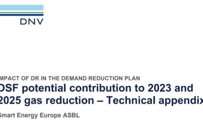 Report l DSF potential contribution to 2023 and 2025 gas reduction