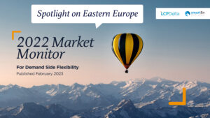 Webinar l CEE Edition webinar of the 2022 European Market Monitor for Demand-Side Flexibility (DSF)