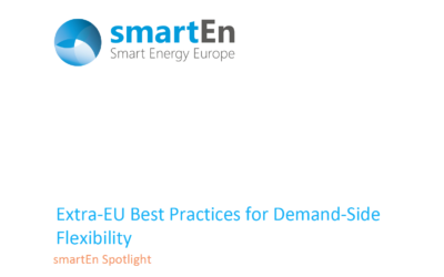 Report l Spotlight on Extra-EU Best Practices for Demand-Side Flexibility